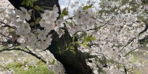 Thumbnail of post image 011